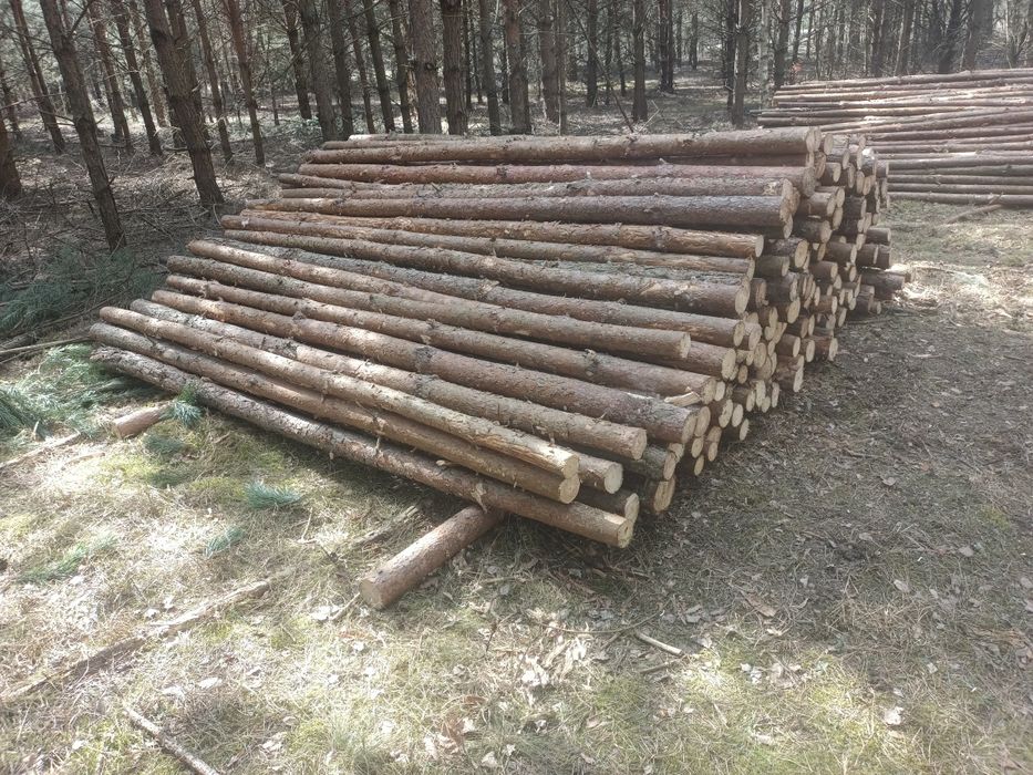 Stemple budowlane  3m