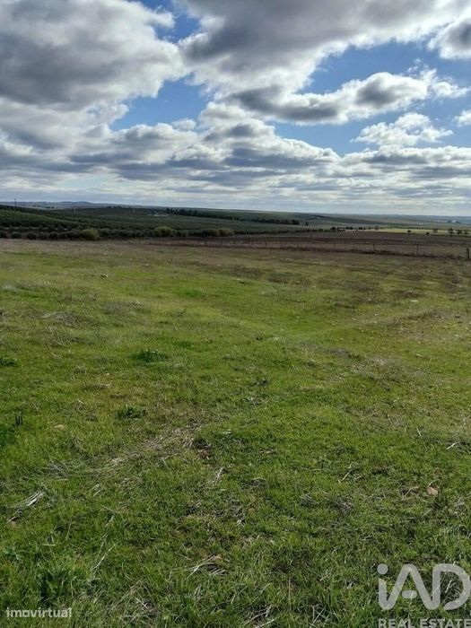 Terreno Agrícola em Baleizão