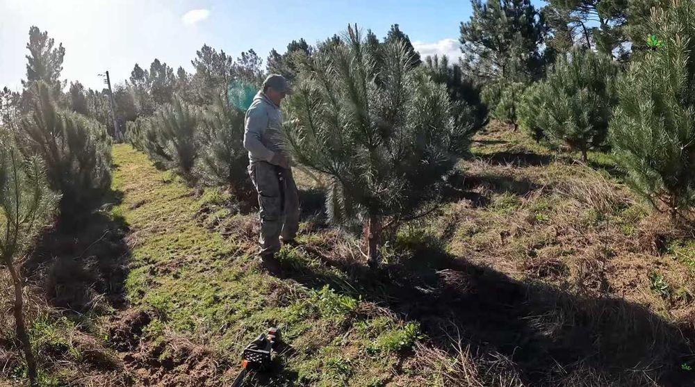 Vende‑se Quinta do Vale — 7 hectares de natureza viva