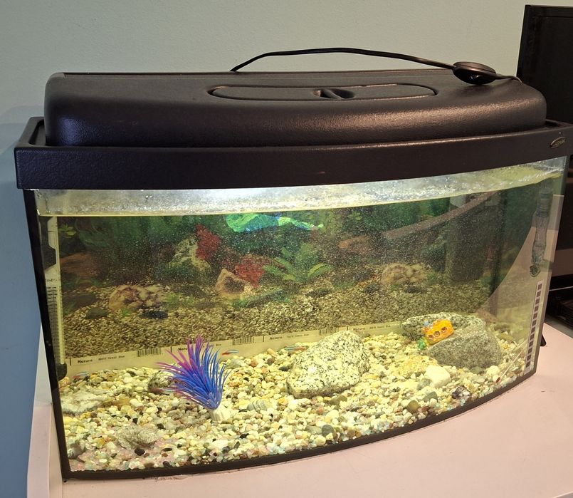 Akwarium 45L z wyposażeniem+rybki