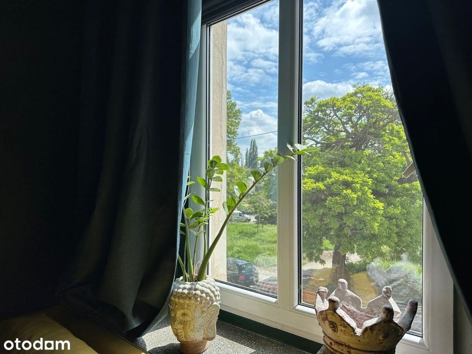 3 pokoje/Ogród botaniczny/Ostrow Tumski/Kino Lalka