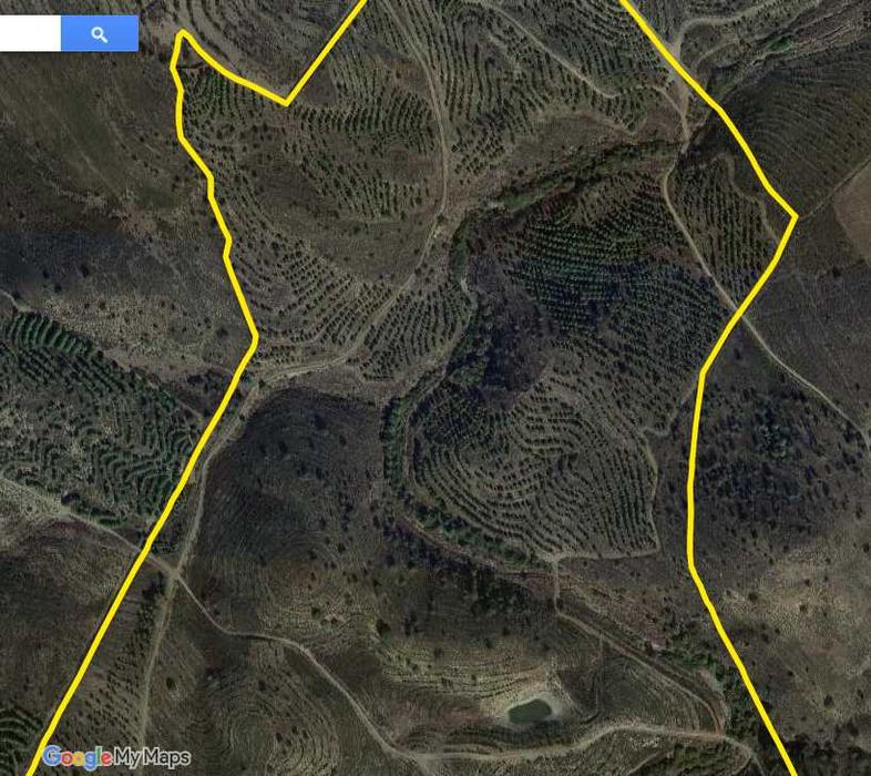 Terreno rústico 136 ha