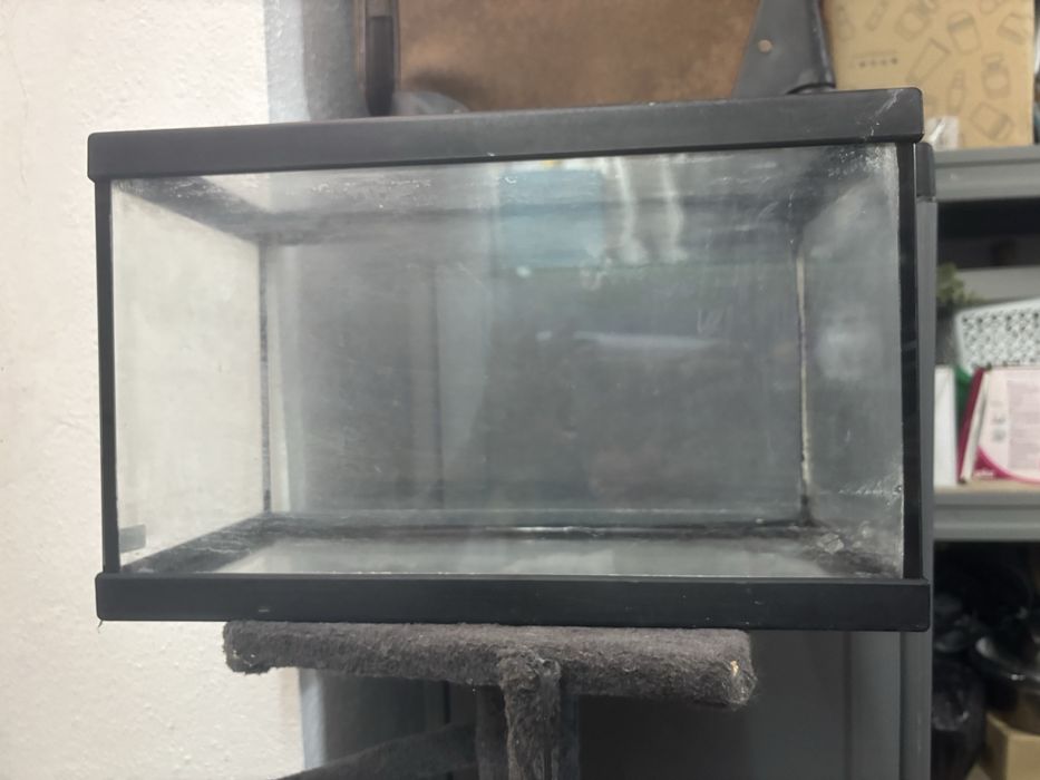 Aquario preto da para peixes oubpara tartarugas