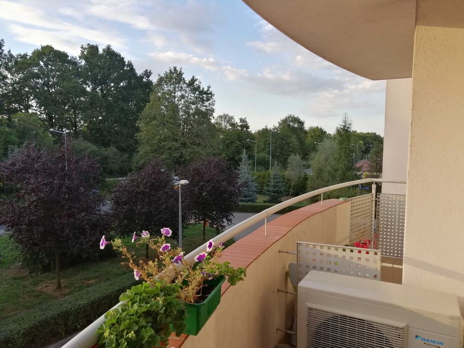 Mieszkanie wynajem 50m2