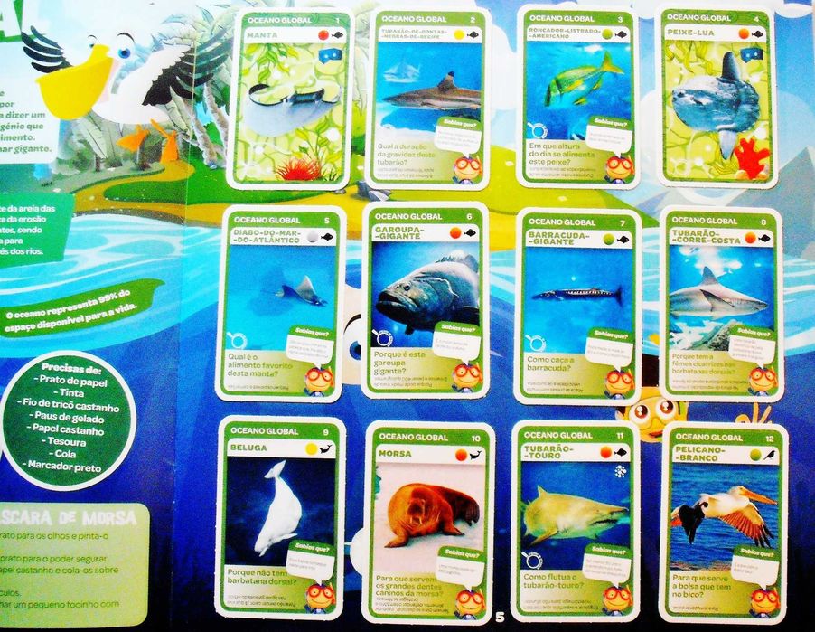 Grande Álbum do Mergulhador - Vida Marinha - Pingo doce