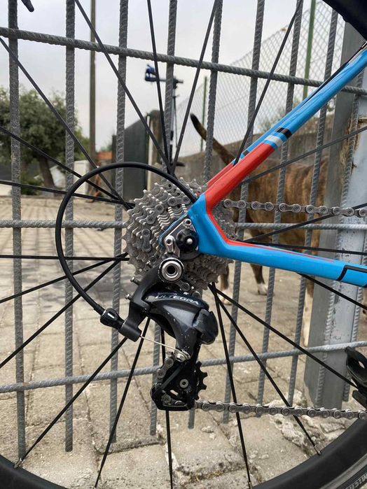 Focos Cayo Full Carbono