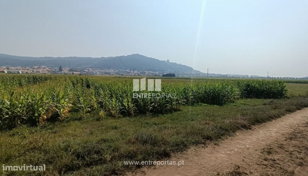 Venda de terreno agrícola com 7890m², Areosa, Viana do Castelo