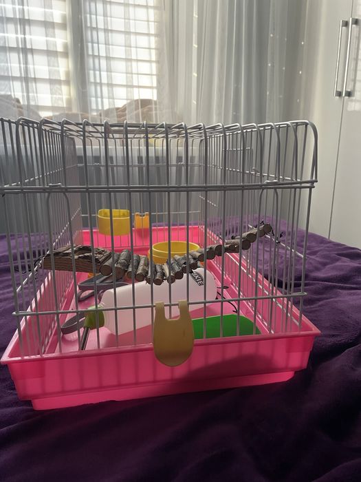 Клітка для щура/хомʼяка + набір аксесуарів(поїлка,миски,повідок,міст)