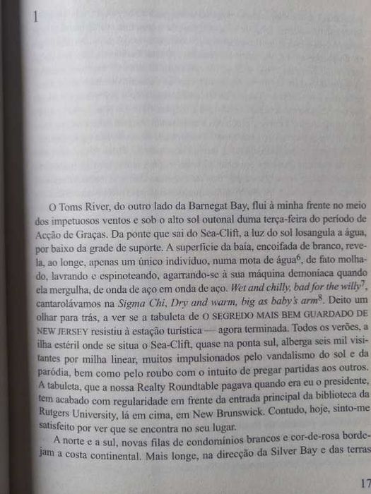A Pele da Terra - Richard Ford
