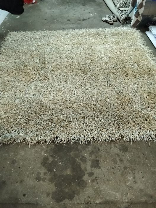 Carpetes como novas