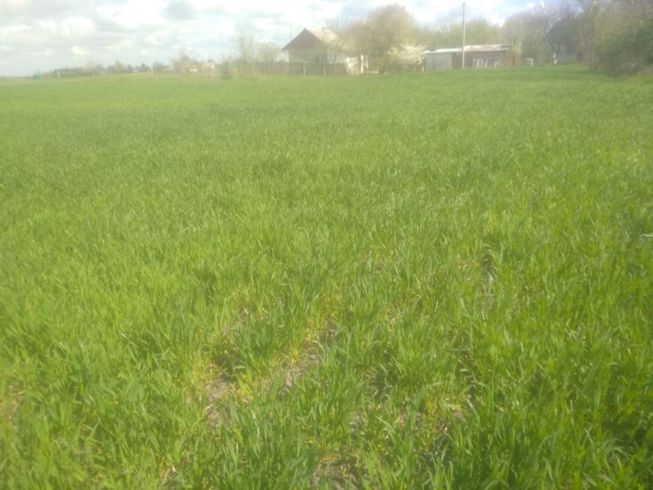 Земельна ділянка