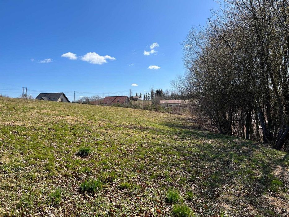 Działka z lasem nad jeziorem, Kaszuby - Widok 3