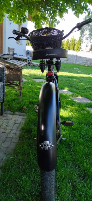 Rower Plumbike super stan.