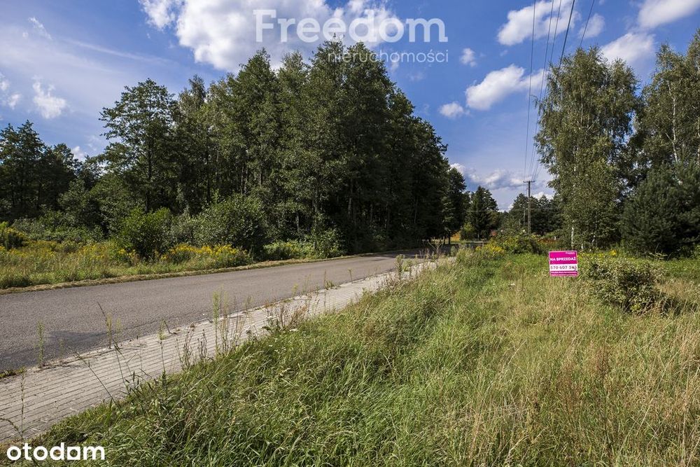 Działka 81 ar z lasem | Wz w toku | Rakszawa - Widok 2