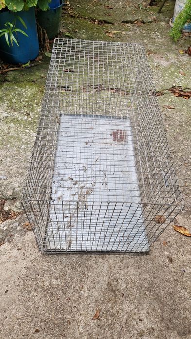 Gaiolas em rede galvanizada