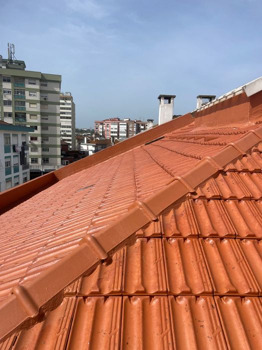 Lavagem de telhado e limpeza de algerozes  " Visita técnica grátis "