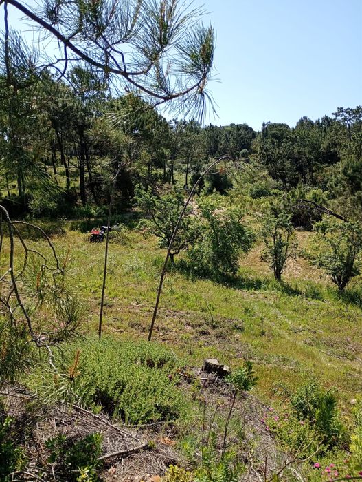 Terreno Rústico em Fornos – Aldeia do Meco (Sesimbra)