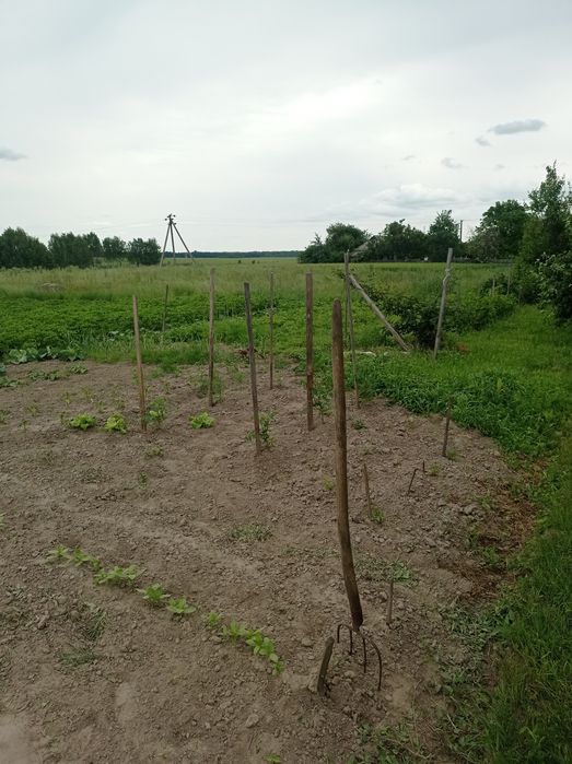 Будинок по трасі Чернігів-Київ в селі Серединка.ЗРУЧНОСТІ. Зем. 2га.