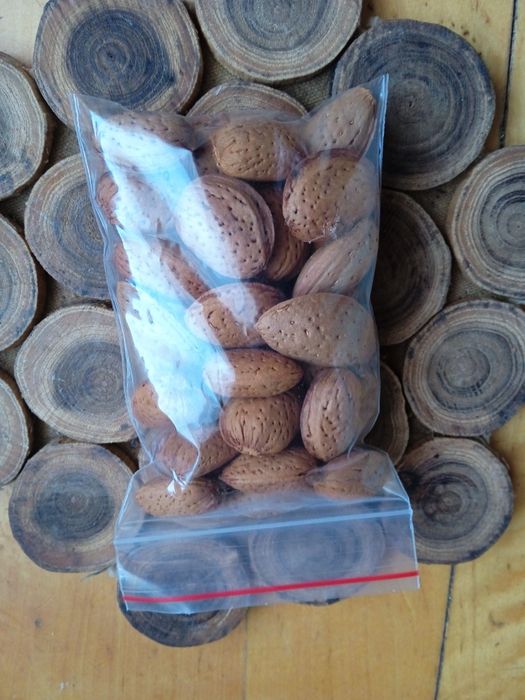 продам горький миндаль орехи