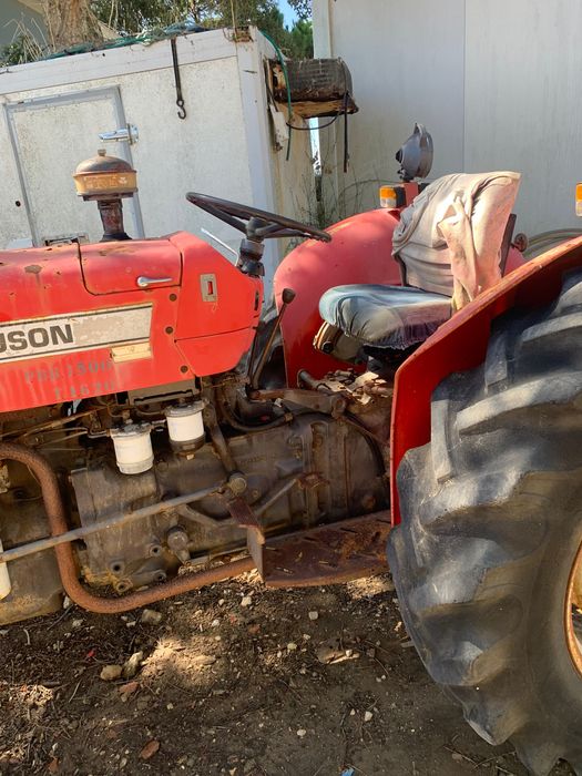 Massie Fergunsou 240 Mafra