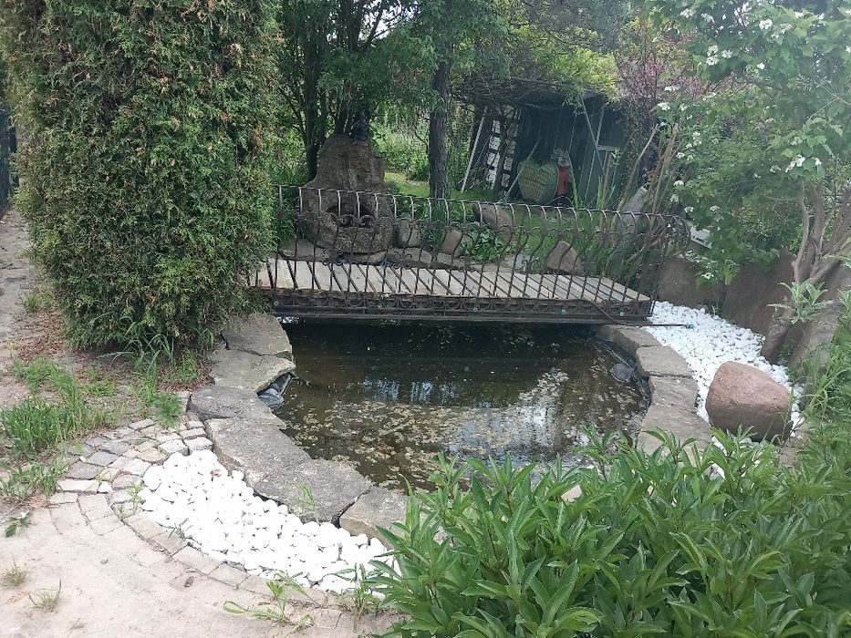 Działka rekreacyjna ( ogródek działkowy )  ROD Podgrodzie - Widok 5
