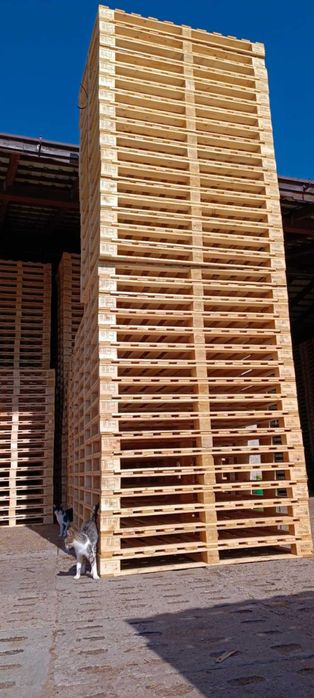 paleta fitosanitarna, suszona, IPPC