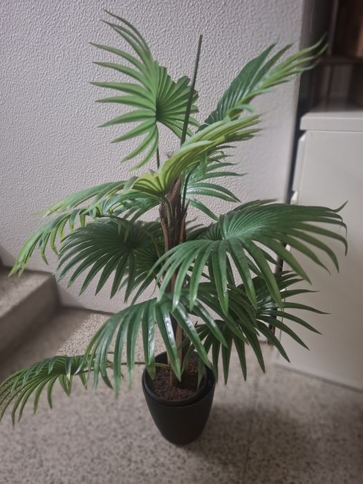 Planta artificial  verde area