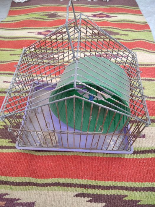 Клетка для хомяка или крысы