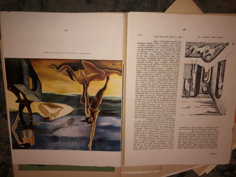 Dicionário Da Pintura Universal - Mário Tavares Chicó - Estúdios Cor