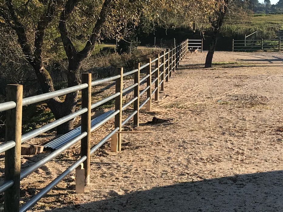 Vedacoes cancelas etc