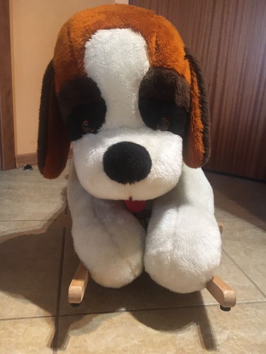 Bujak pies - odbiór osobisty