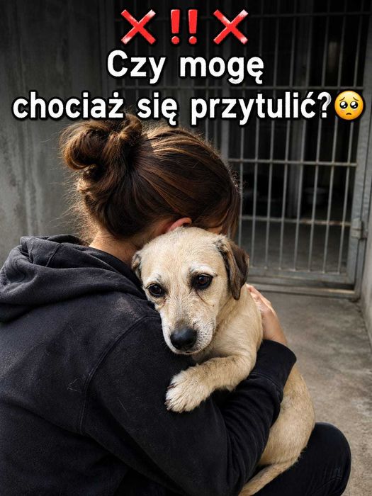 Daisy – pokochaj ją, zanim straci nadzieję