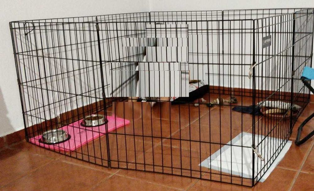 Vedação para Cão (Jaula Metalica)