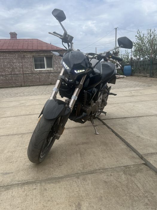 Geon stinger 250R 2021