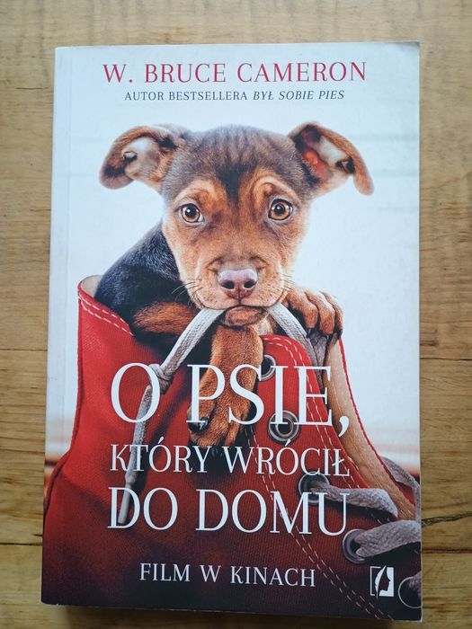O psie, który wrócił do domu. W. BRUCE CAMERON