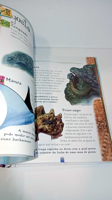 365 curiosidades Animais