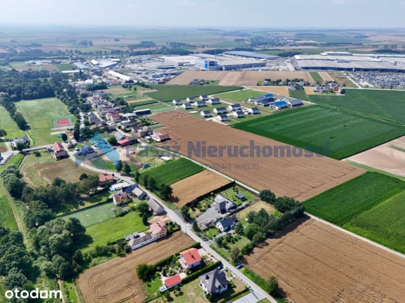 Zdjęcie 7