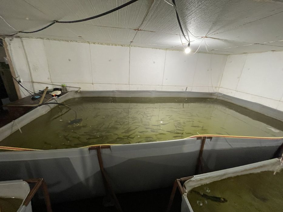 Продам басейн на 8.5 куб води