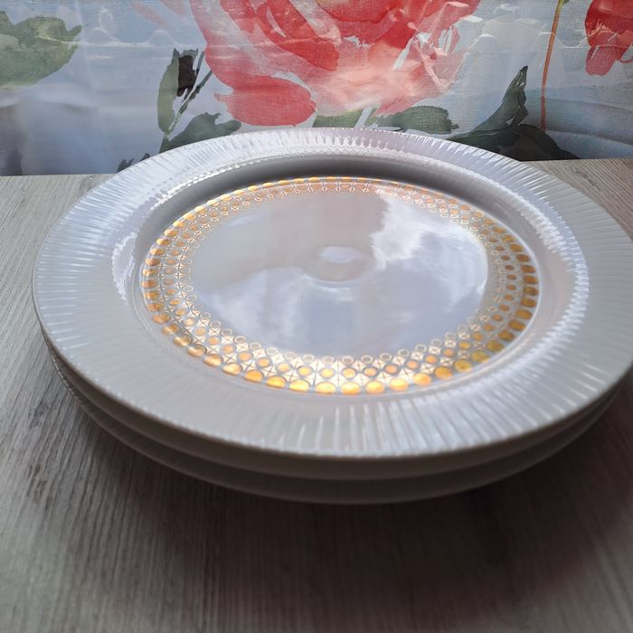 Talerze obiadowe  Rosenthal.
