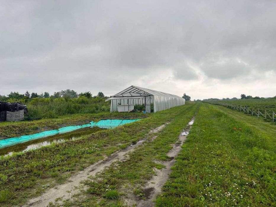 Продаж земельної ділянки з садівництвом м. Жовква с. Блищиводи