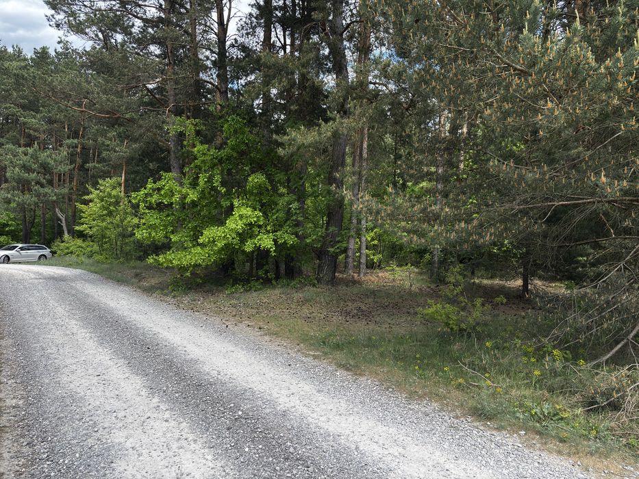 Dzialka Piekoszów, spokojna okolica