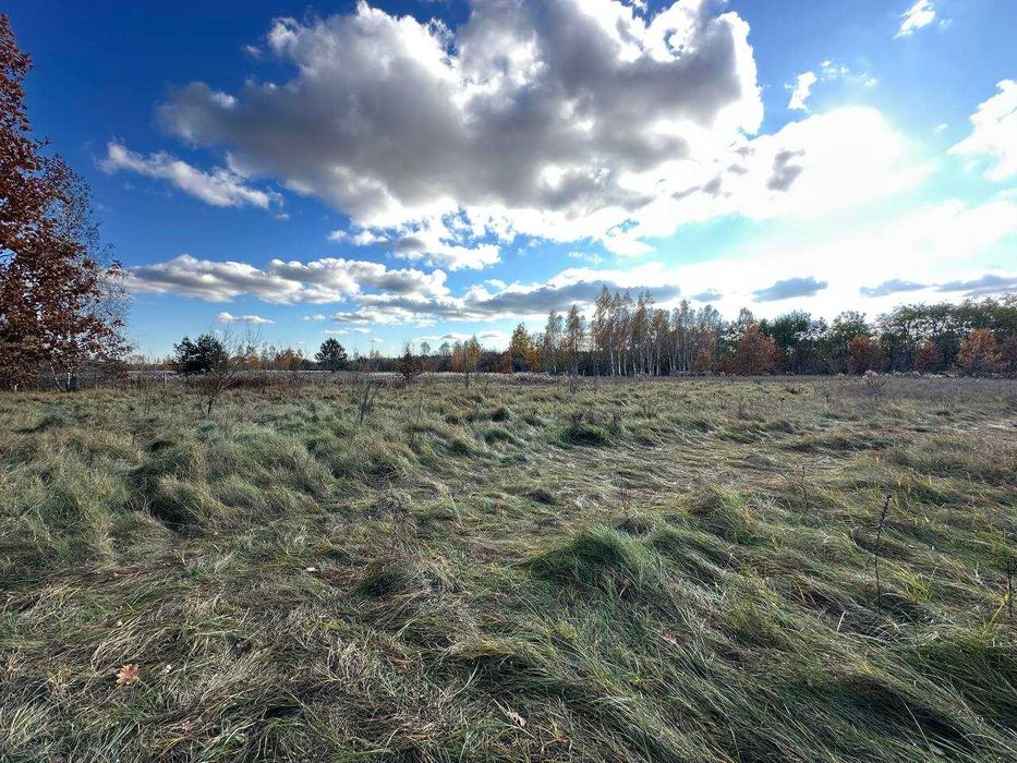 Продаж  ділянки 38,36сот.(25 сот під забудову+13,36ОСГ)Почепин.ID:732