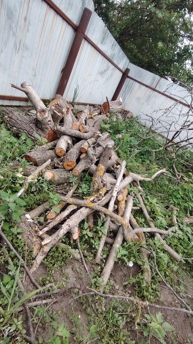 Продам орех(на дрова)