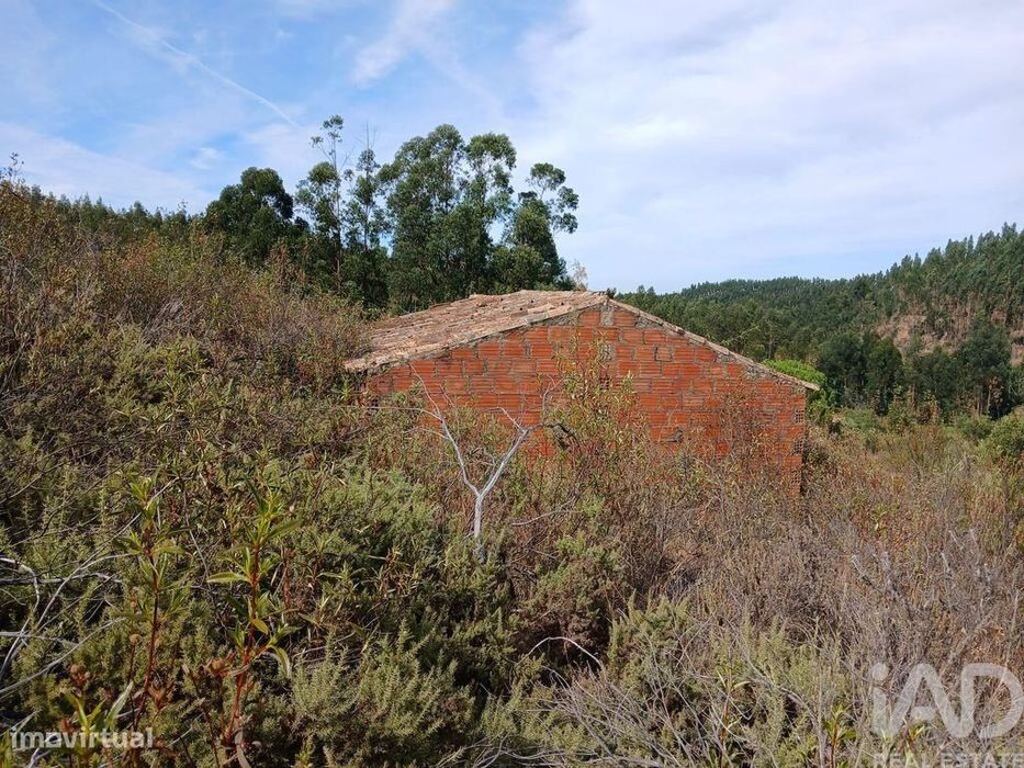 Quinta rural T1 em Sabóia de 80 m2