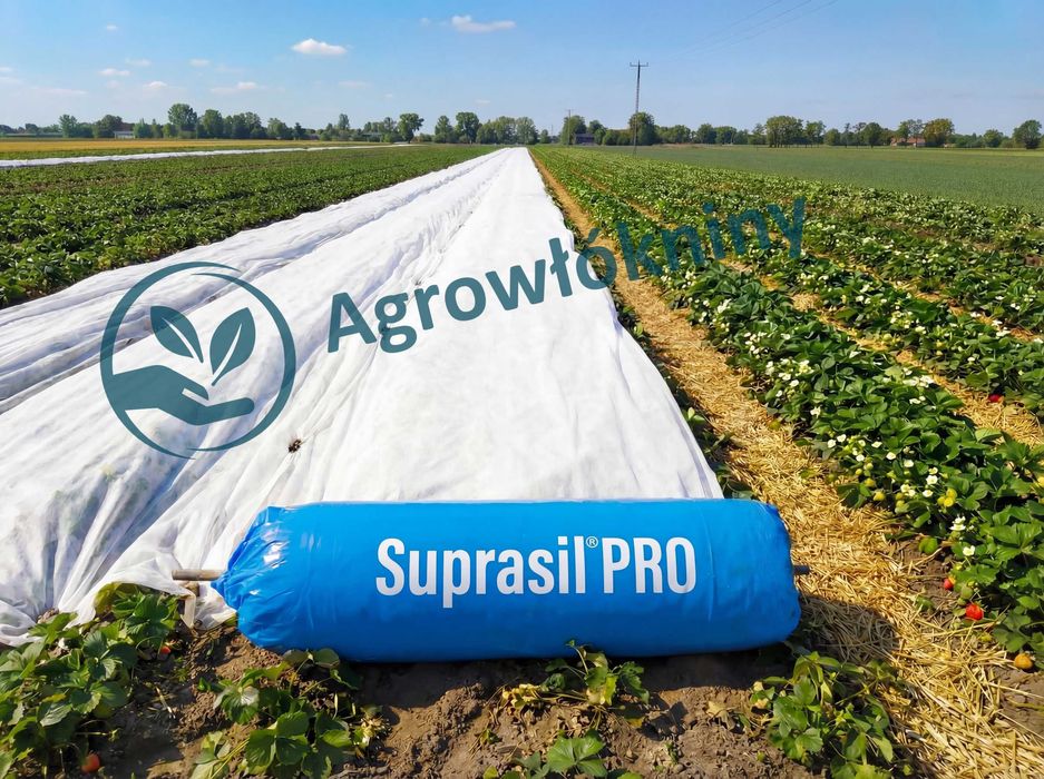 Suprasil PRO P23 12,65m X 100m Włóknina Agrowłóknina