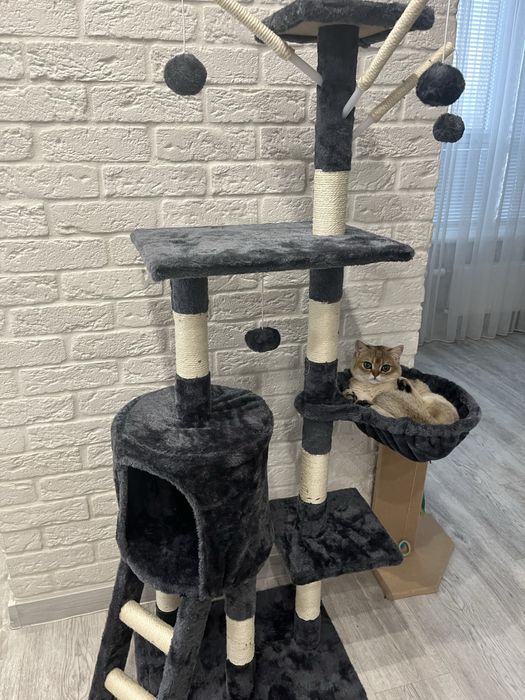 Будиночок для кішки