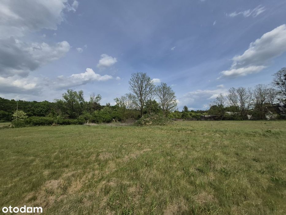 Działka inwestycyjna 6446 m² – Borowina, gm. Konstancin-Jeziorna
