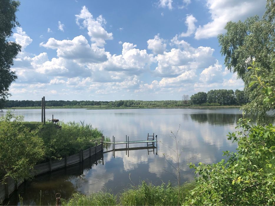 Продається будинок на руслі Дніпра, 25 метрова берегова зона