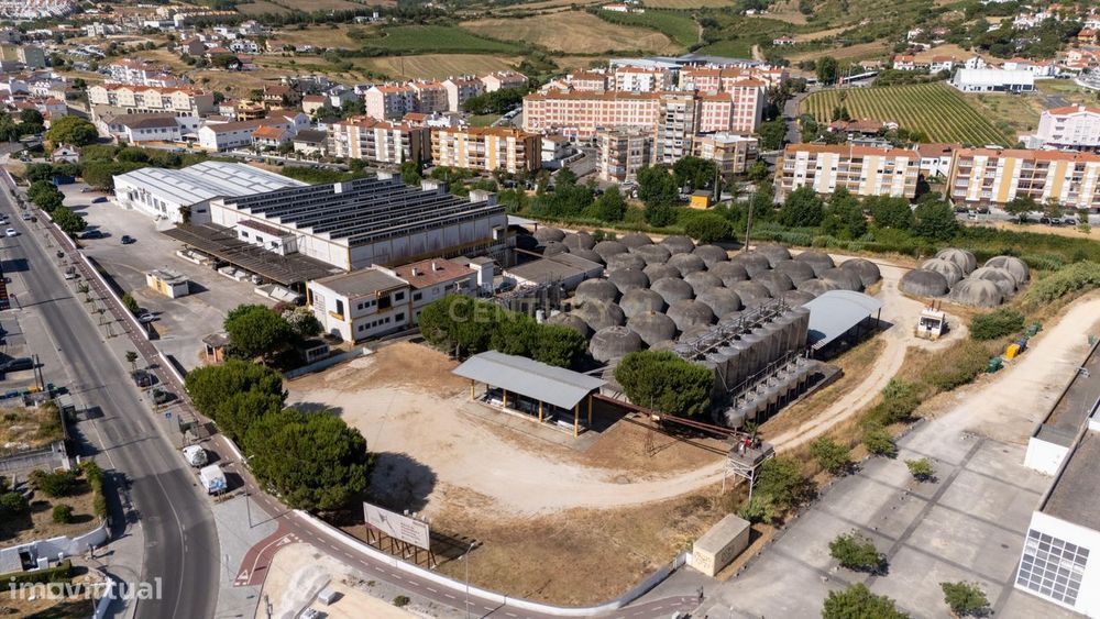 Uma adega com história, pronta para o futuro em Arruda dos Vinhos
