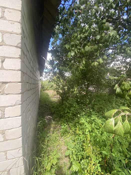 Продам ветхій будинок з земельною ділянкою  в центрі  села Глибочиця